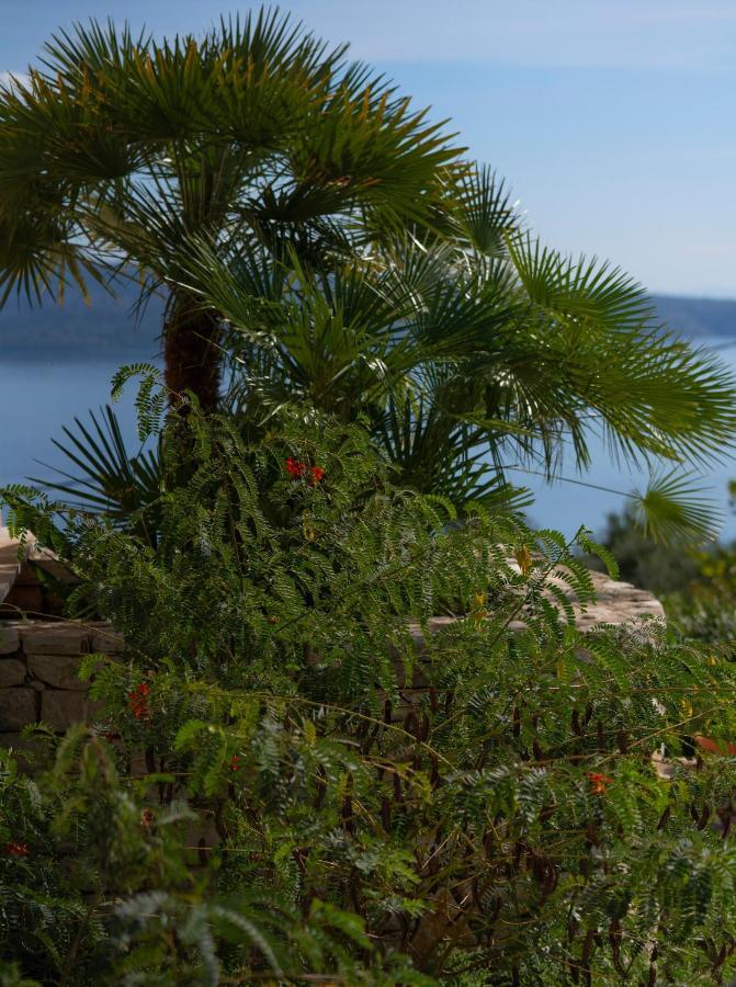Bellina Villa Agnítsini المظهر الخارجي الصورة